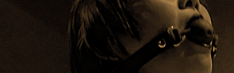 高級本革 口枷（ボールギャグ）